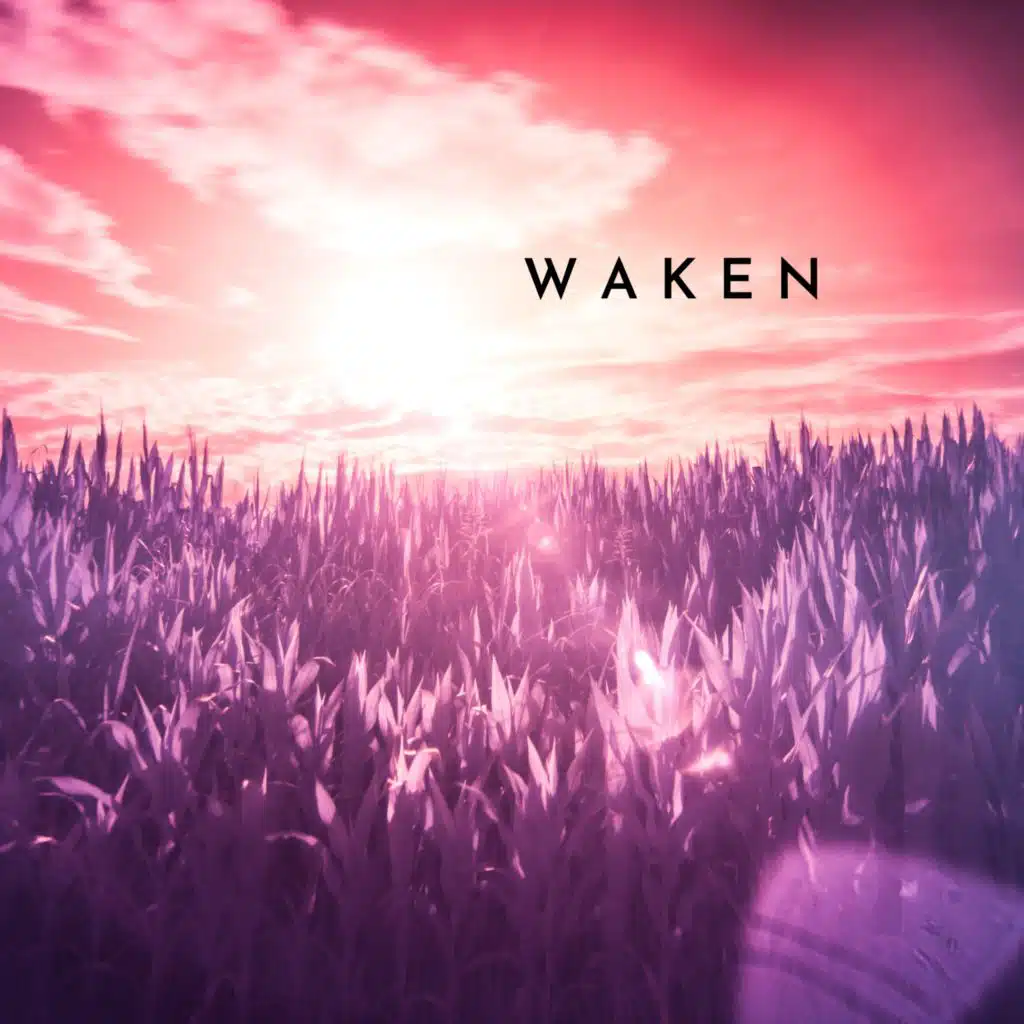 Lights From A Distance