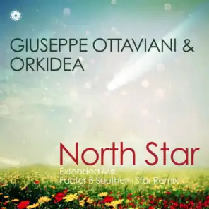 Giuseppe Ottaviani & Orkidea