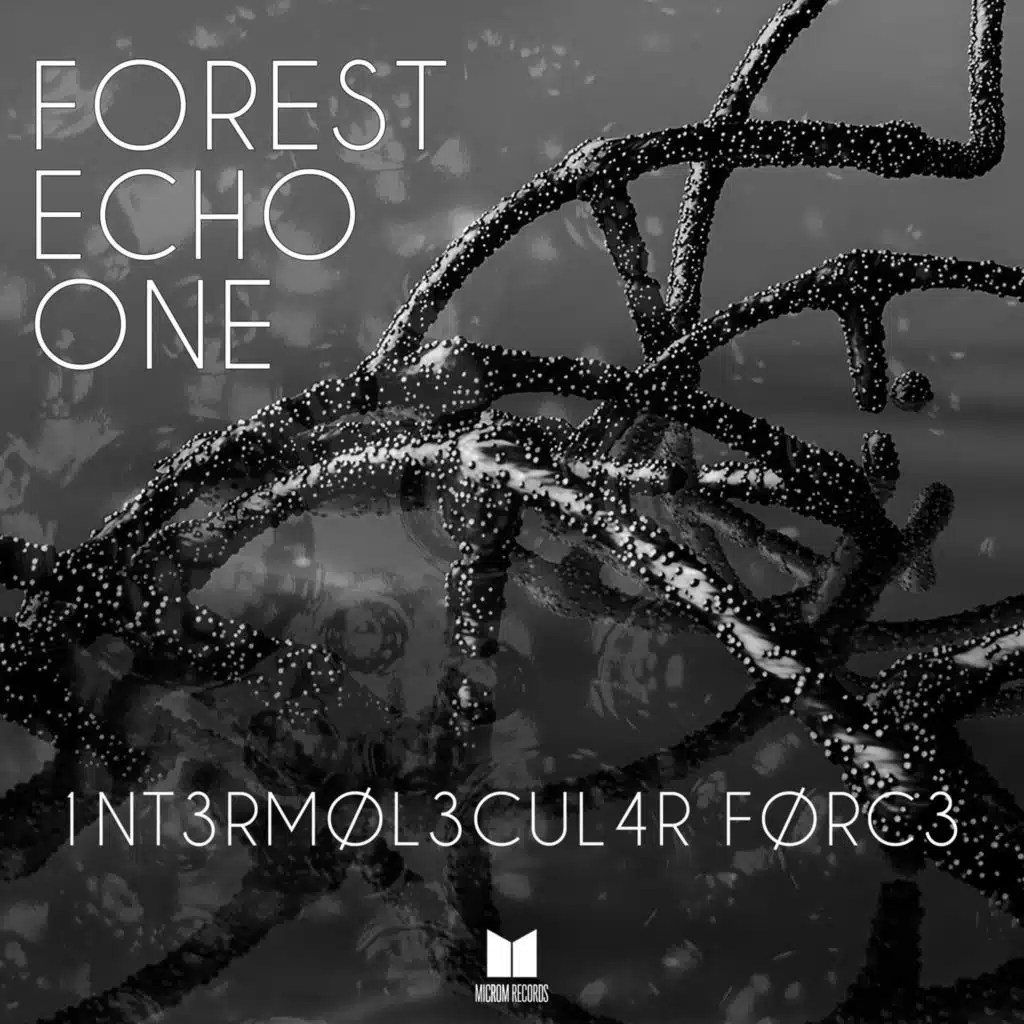 Forest Echo One