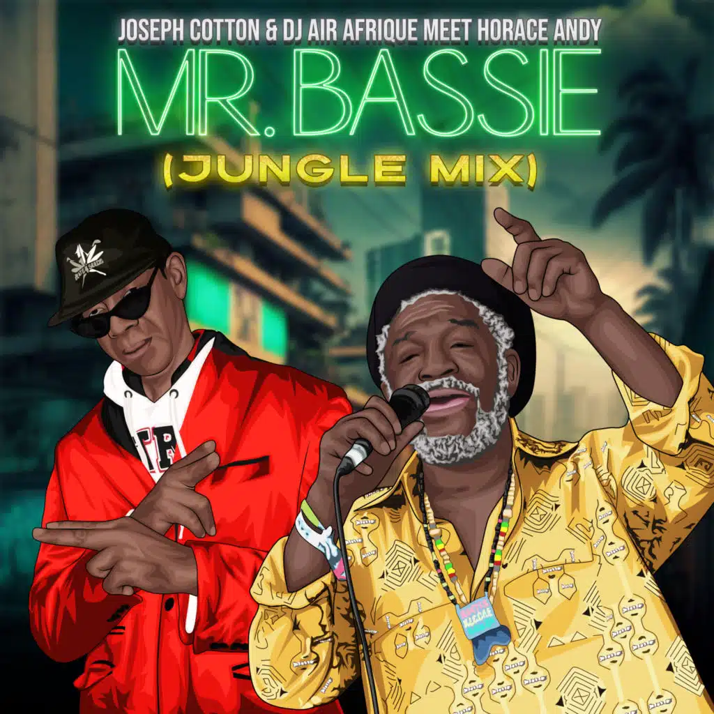 Mr. Bassie (Jungle Mix) [feat. DJ Air Afrique]
