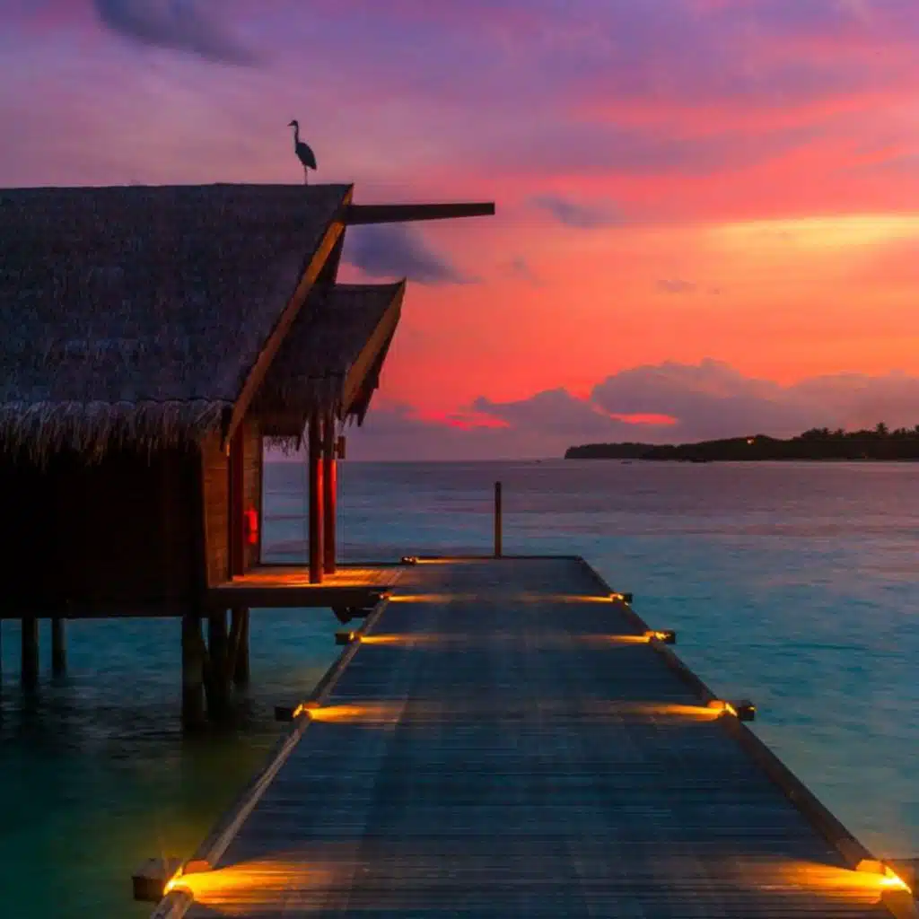 A Sky Full Of Stars x Quevedo