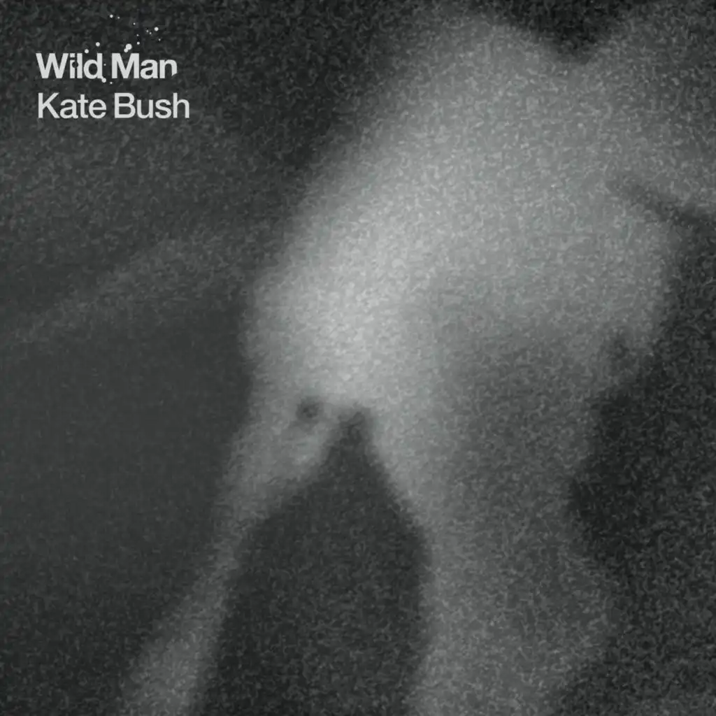 Wild Man (Radio Edit)