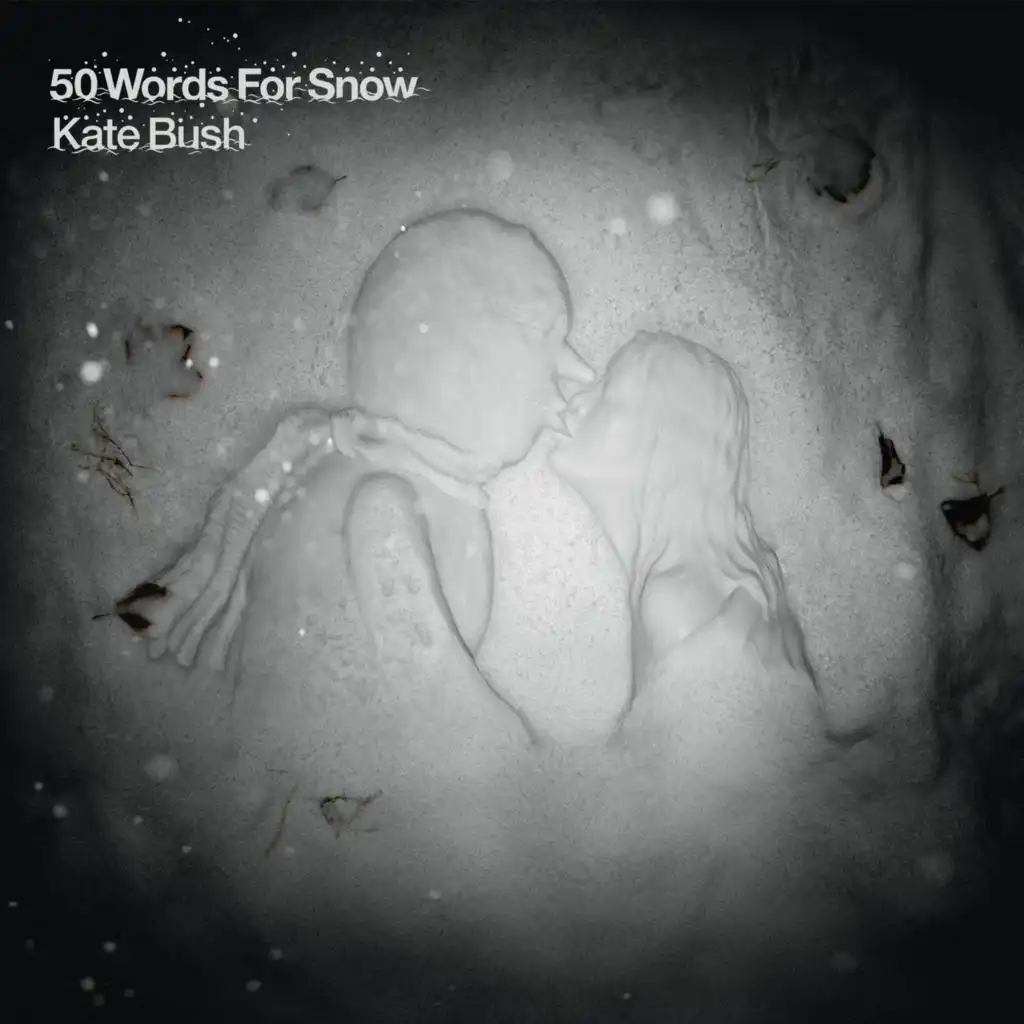 50 Words for Snow