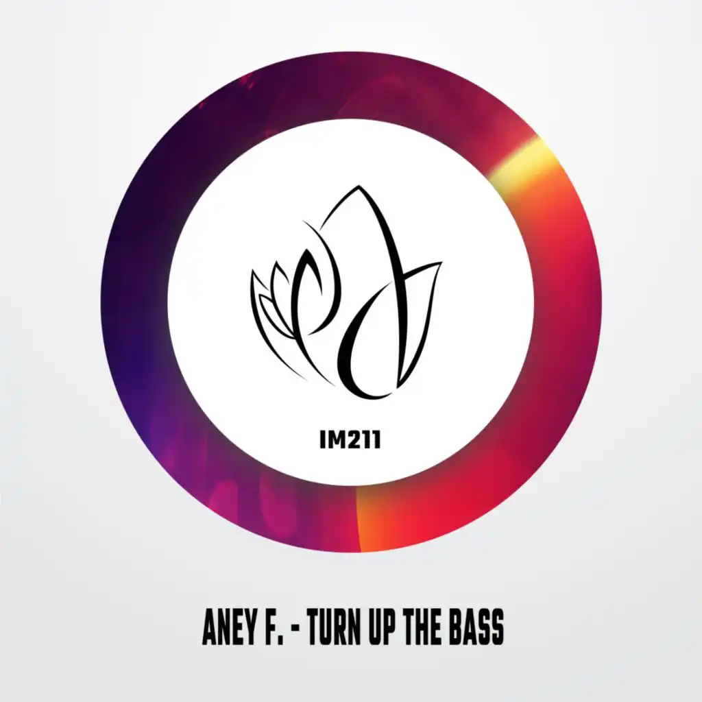 Turn Up The Bass (Edit)