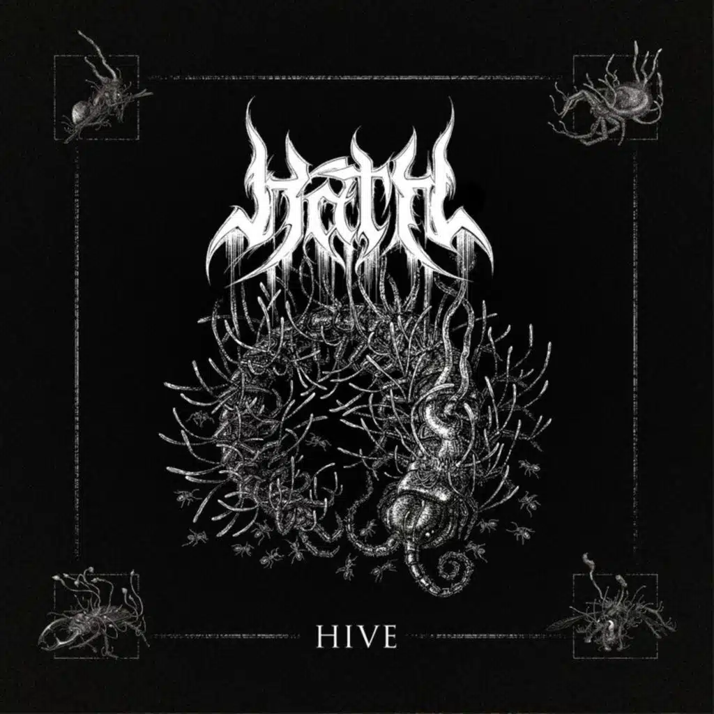 Hive