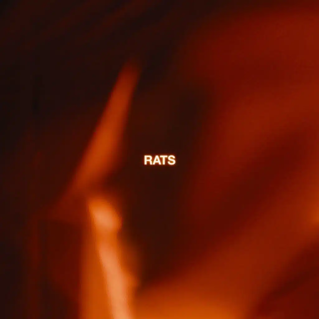 Rats