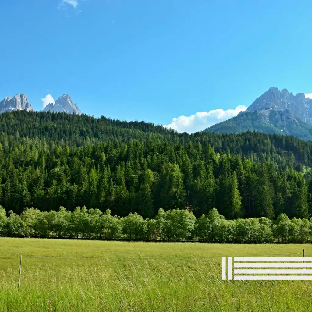 Meditation Music For You