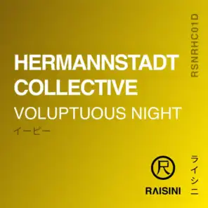 Hermannstadt Collective