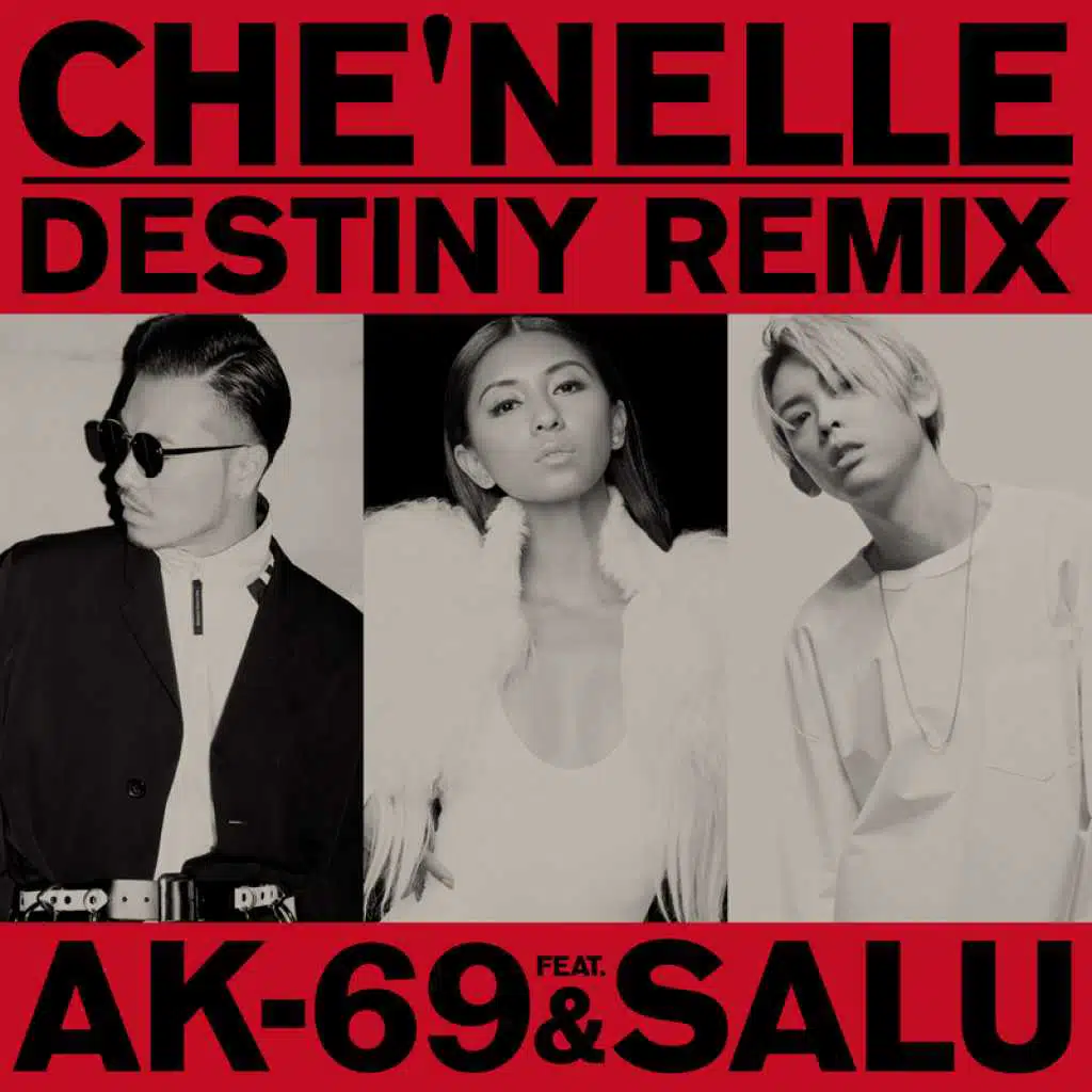 Destiny (Remix) [feat. AK-69 & Salu]