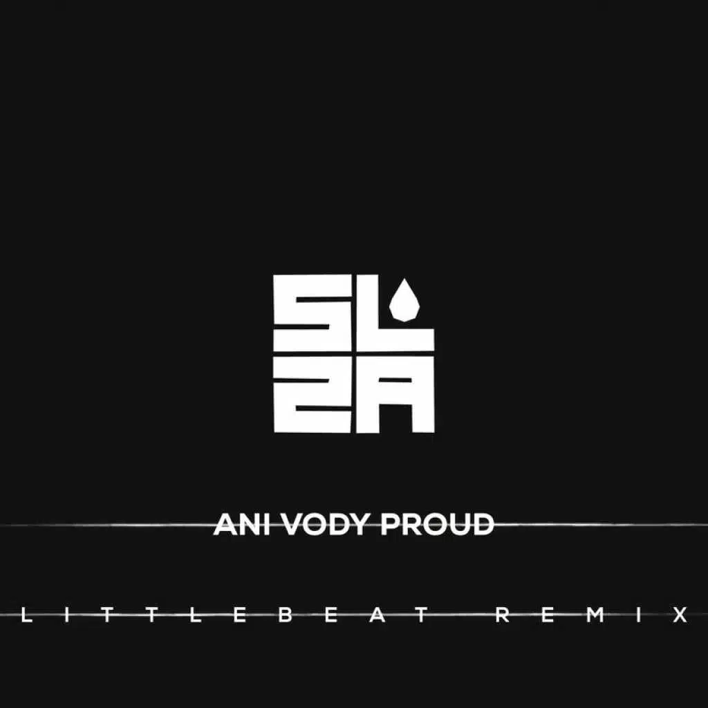 Ani vody proud (Littlebeat Remix)