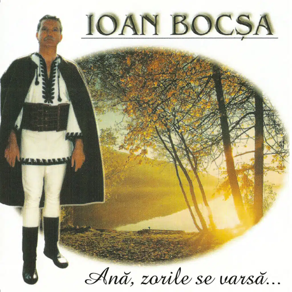 Ioan Bocsa