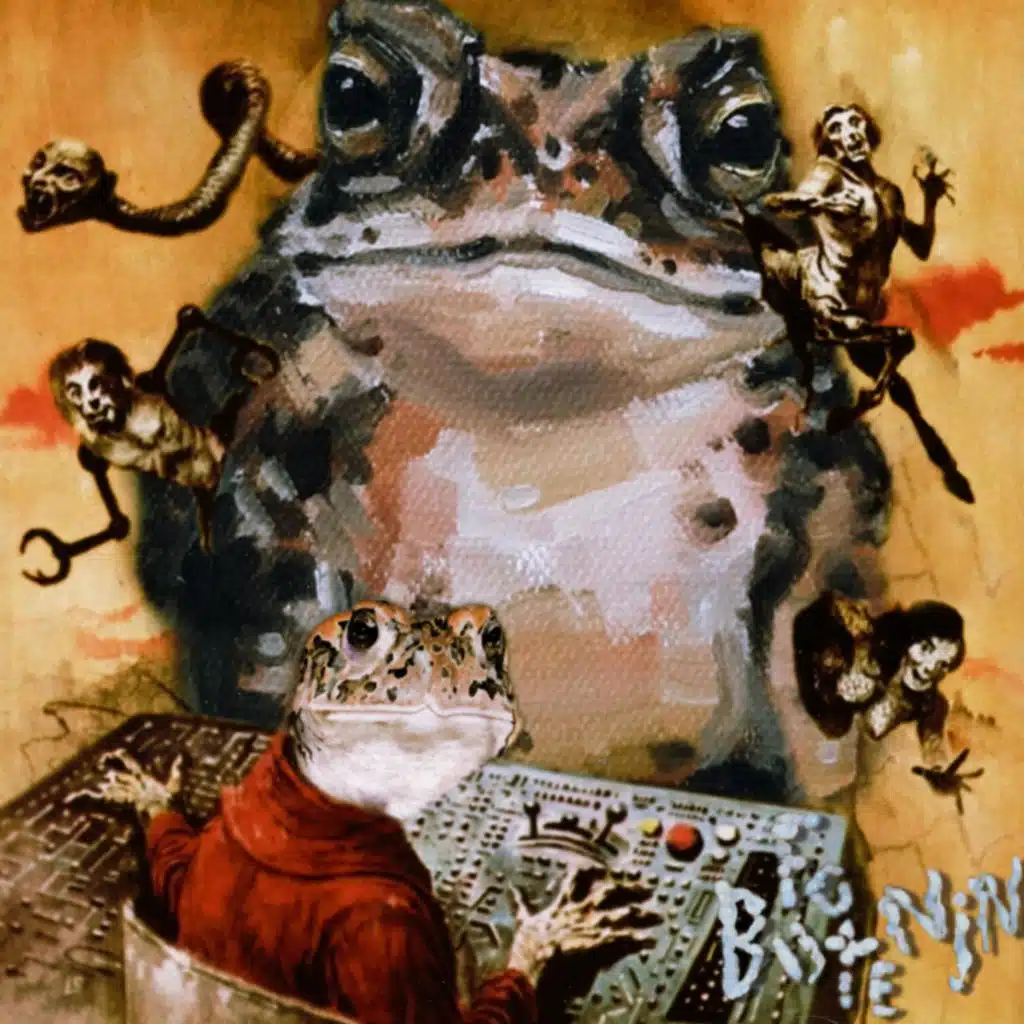 The Golden Toad: The Pathway To Inilius periglenes Hallucinations