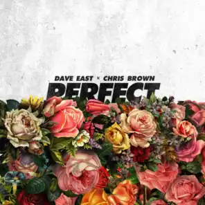 Perfect (feat. Chris Brown)
