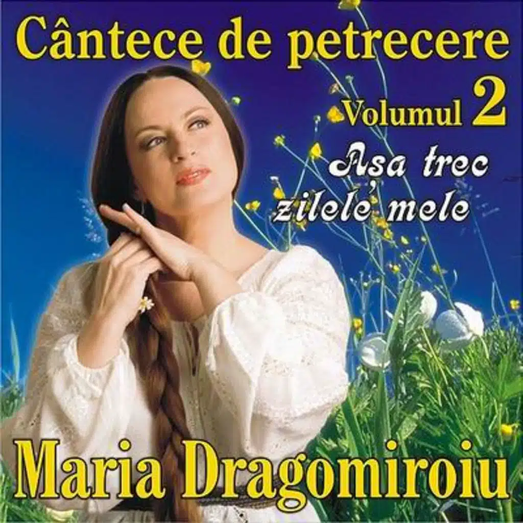 Asa trec zilele mele