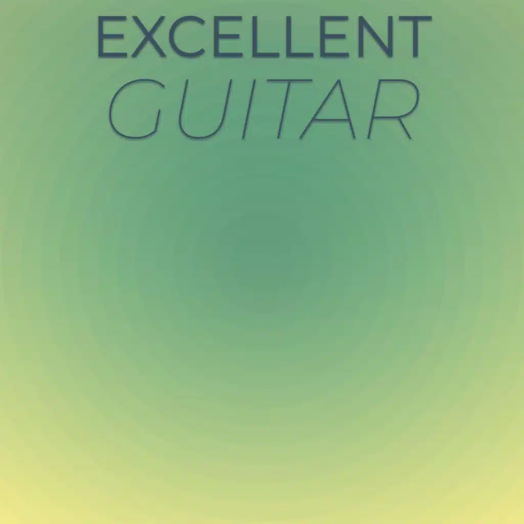 Excellent Guitar