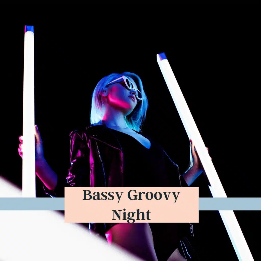 Bassy Groovy Night