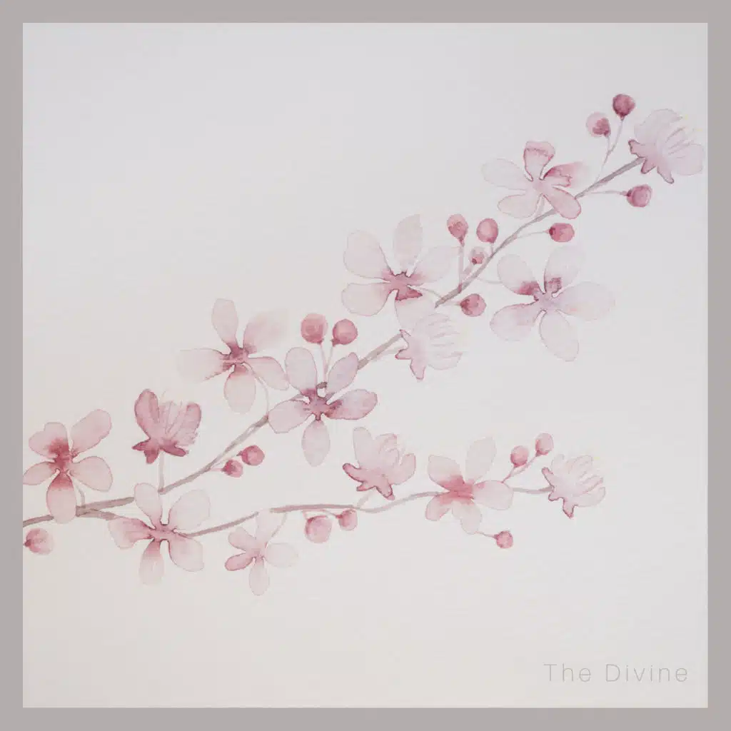 Meditation and Sounds