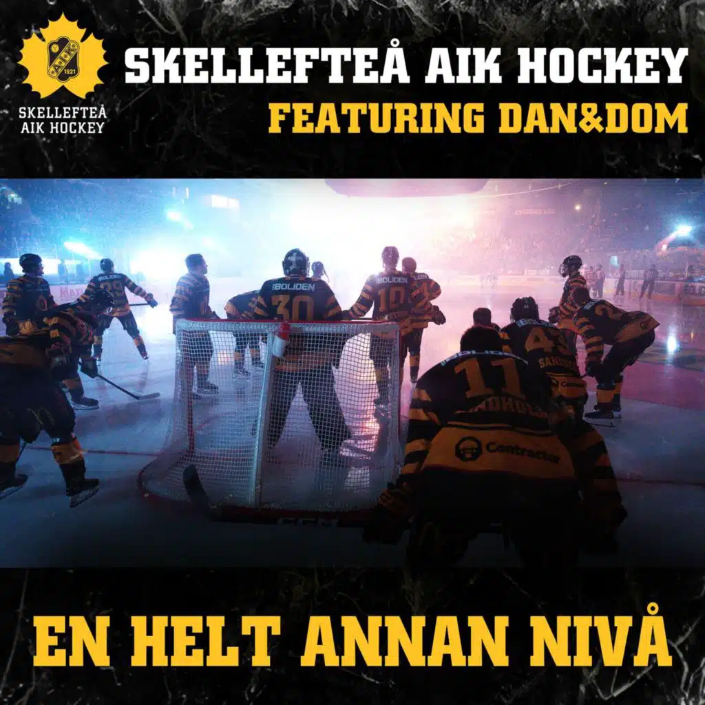 Skellefteå AIK Hockey