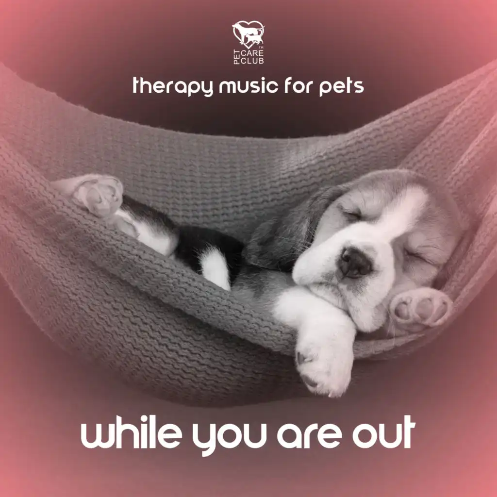 Therapy Music for Pets While You Are Out: Pet Music Academy (Relax Your Dog & Cat When They Are Alone at Home)