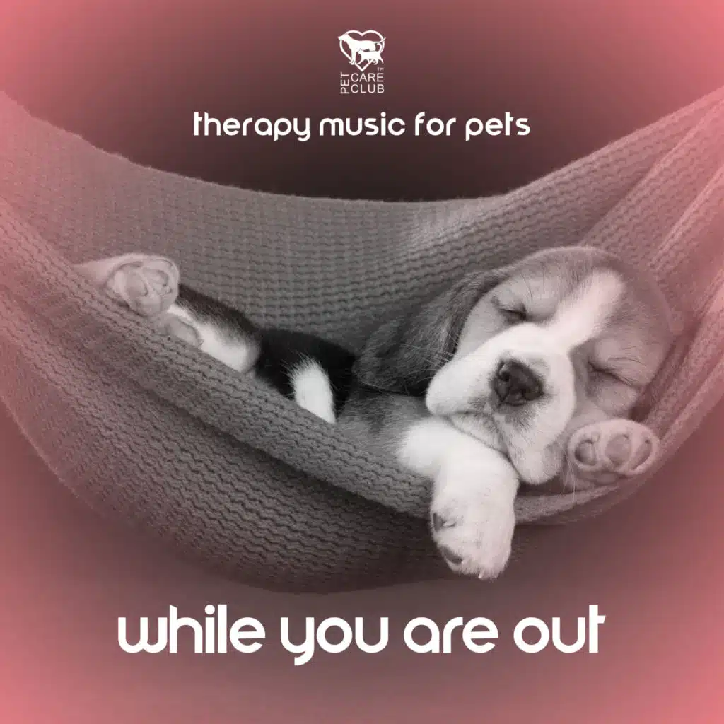 Soothing Music for Pets