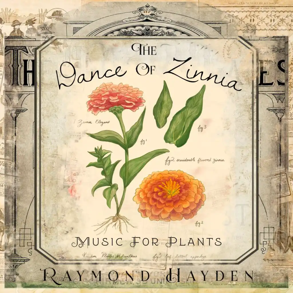 The Dance of Zinnia: Music for Plants