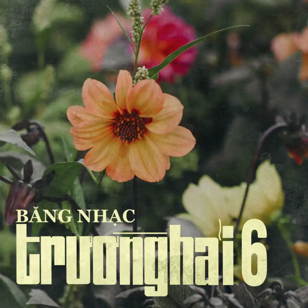 Trường Hải 6