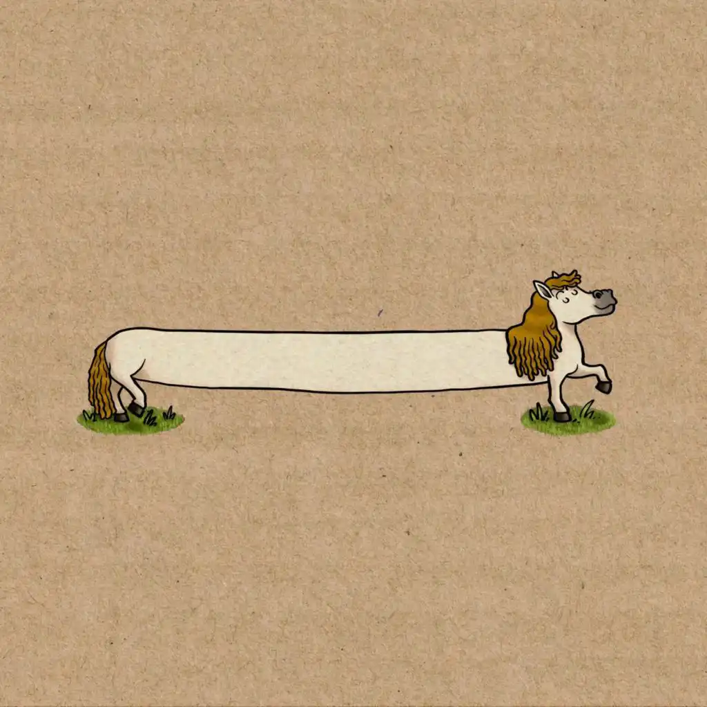 The Longest Pony