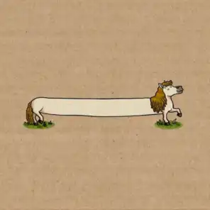 The Longest Pony