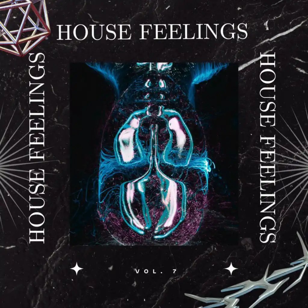 House Feelings Vol.7