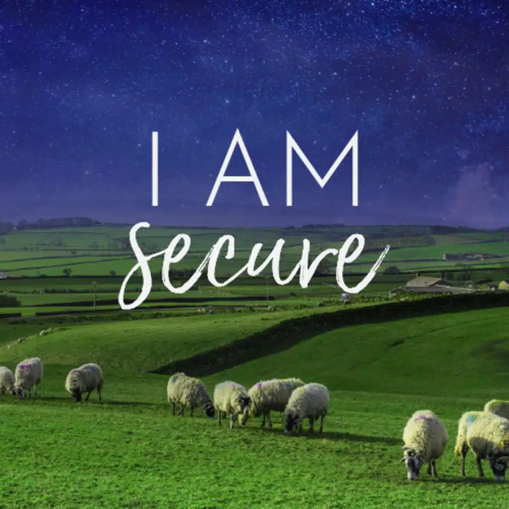 I Am Secure