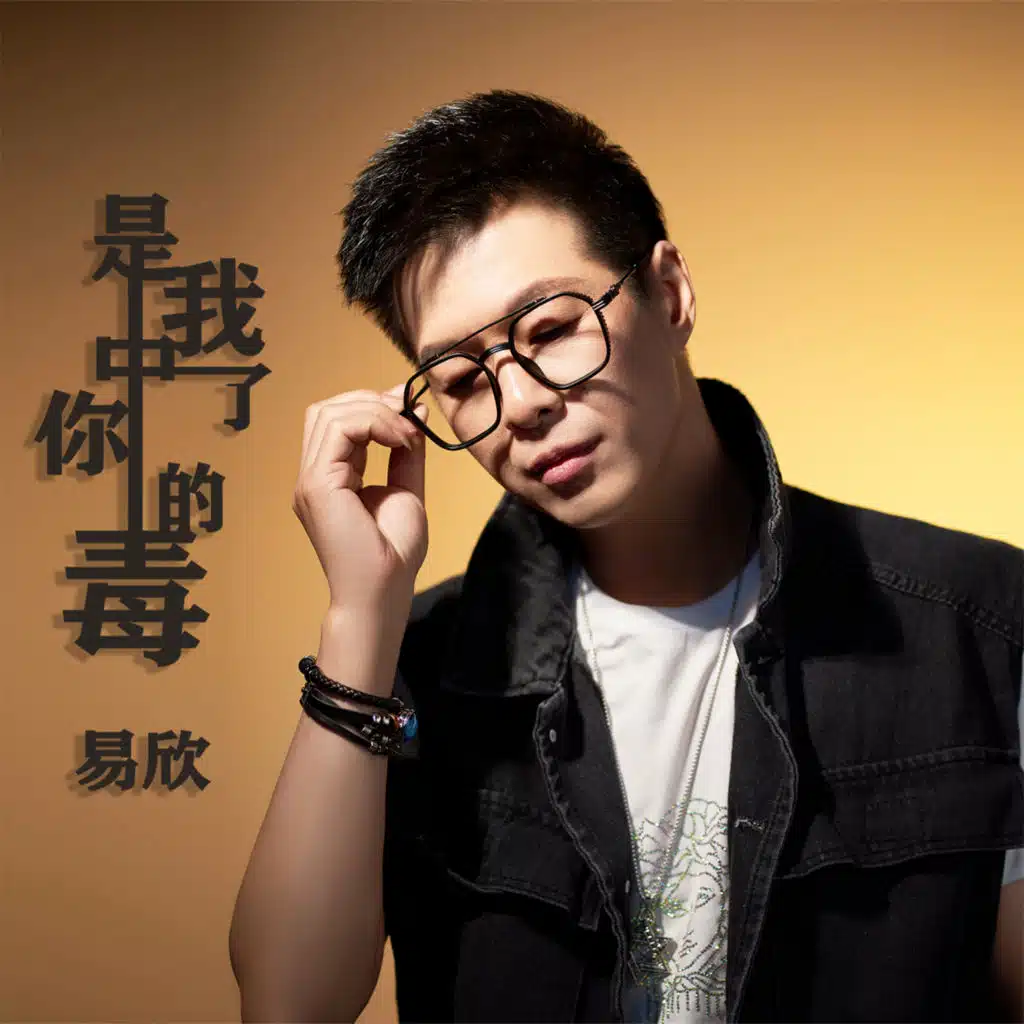 是我中了你的毒 (DJ默涵版)