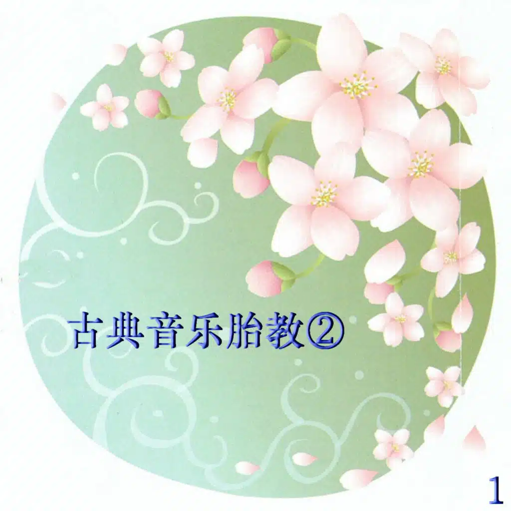 12首C大调《闪闪小星星》《咩！咩！小黑羊》主题变奏曲