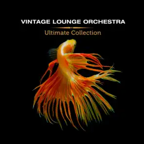 Vintage Lounge Orchestra