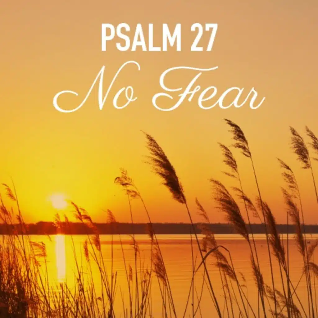 No Fear