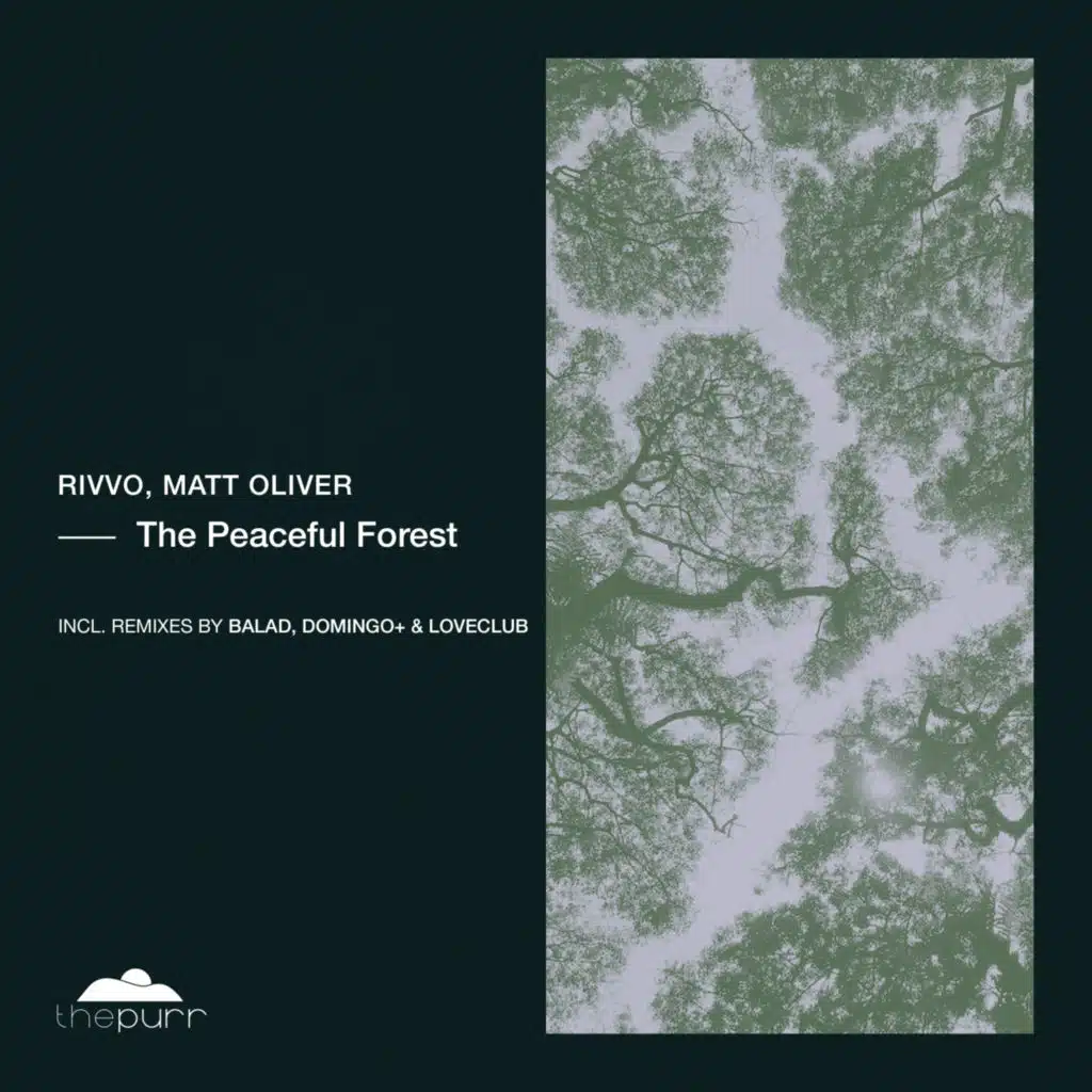 The Peaceful Forest (feat. Balad)