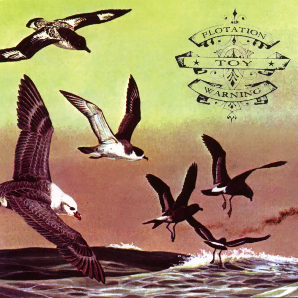 Popstar researching oblivion