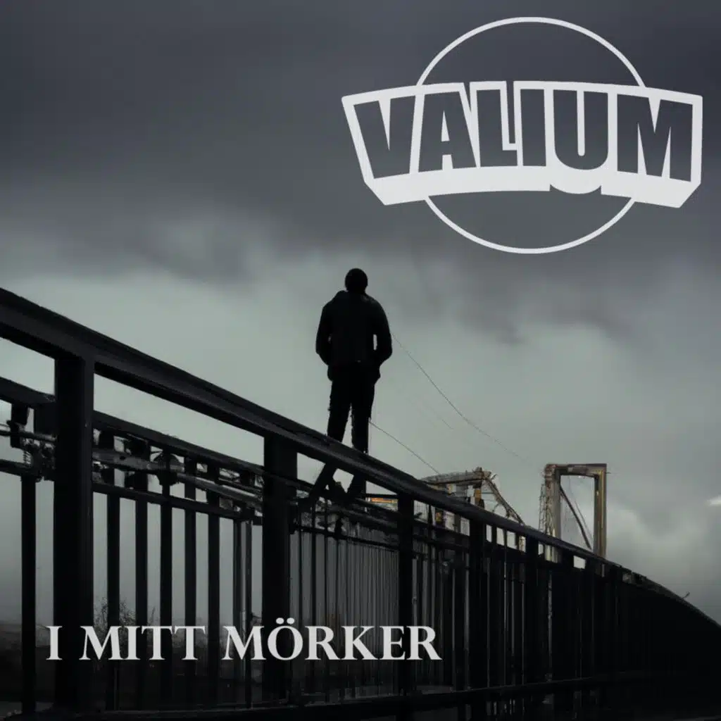 I mitt mörker