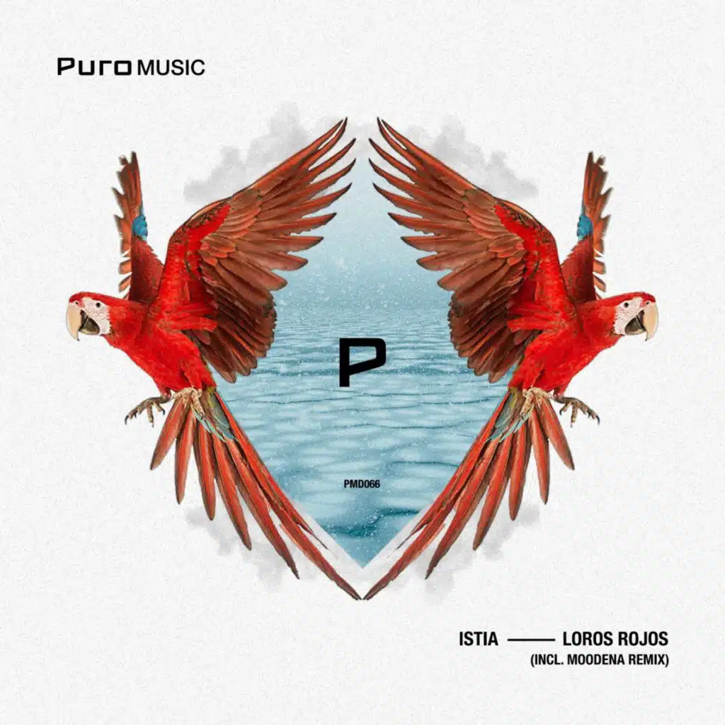 Loros Rojos de Barcelona (Moodena's Spaced Out Dub) [feat. Fernando & Conny]