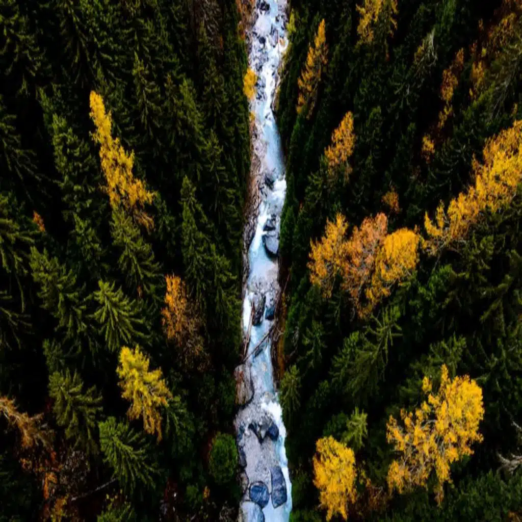 Do Not Love the World