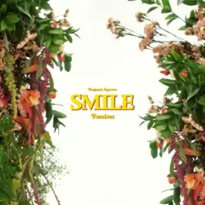 Smile (Remixes)