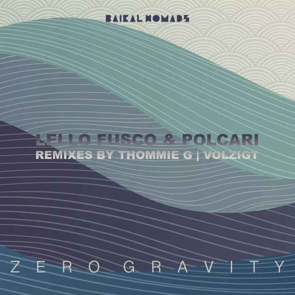 Zero Gravity (feat. Volzigt)