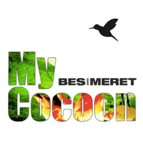 My Cocoon (Budai Remix)