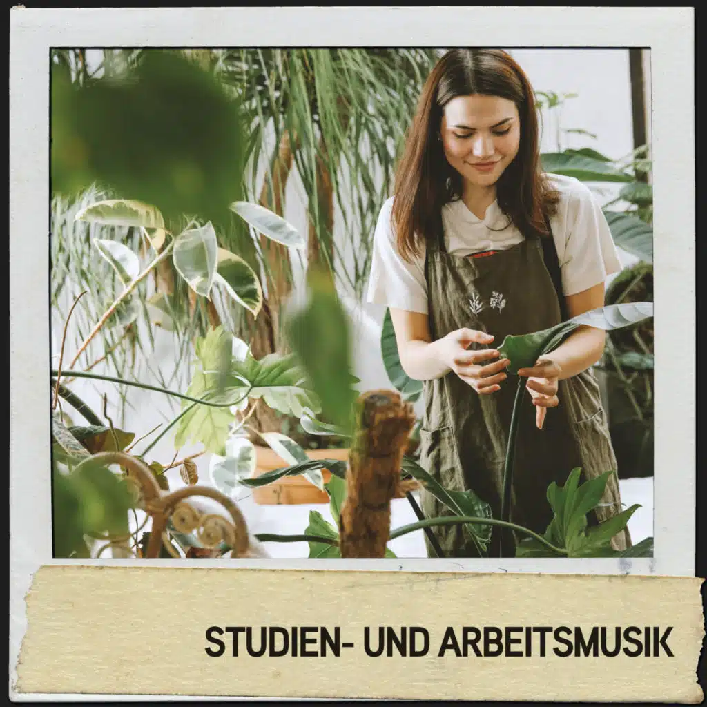 Musik für den Geist