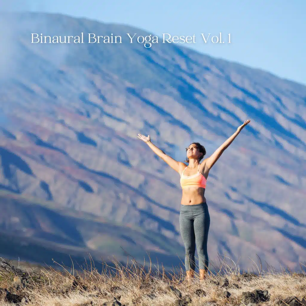 Canon in D Variations