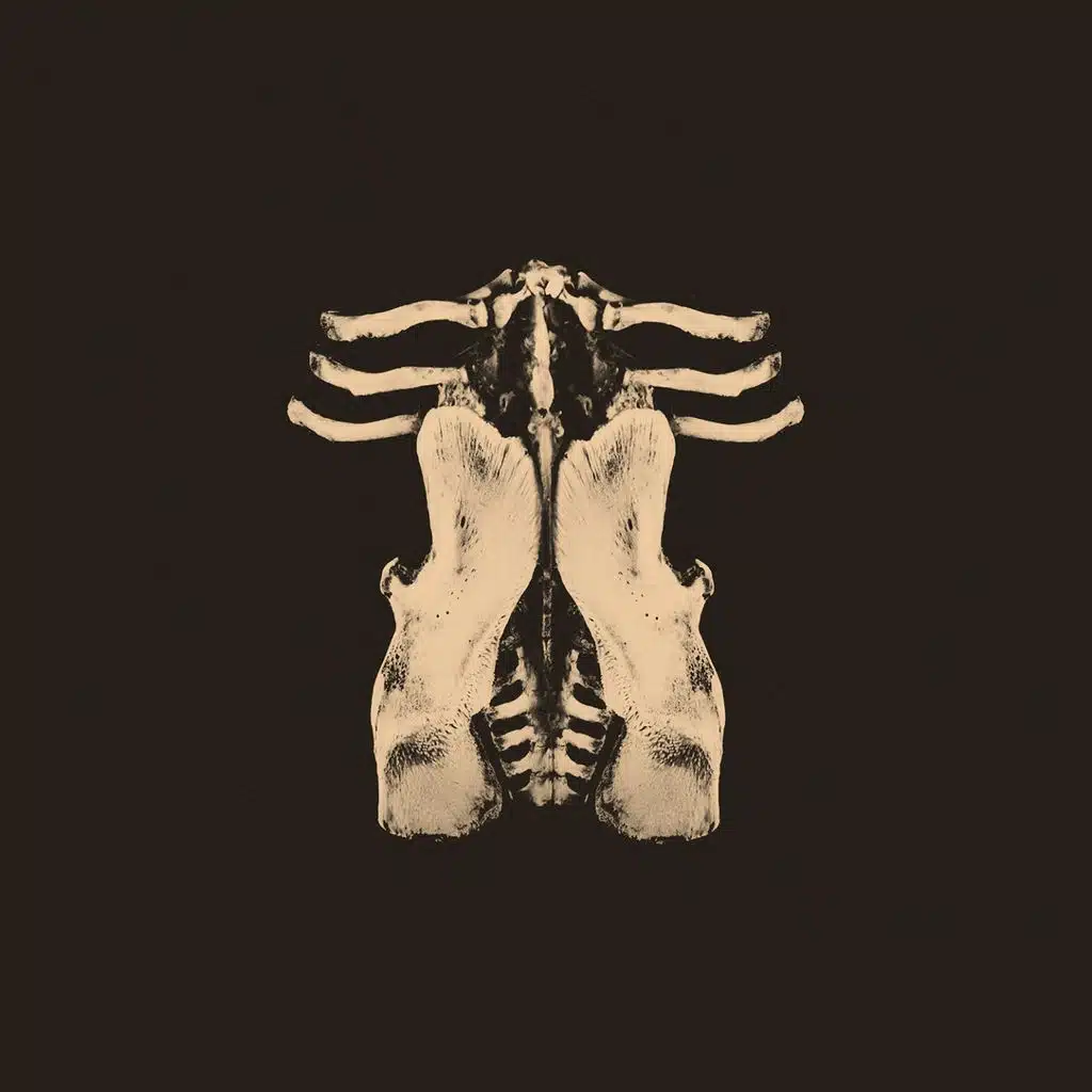 Pansements (Édition deluxe)