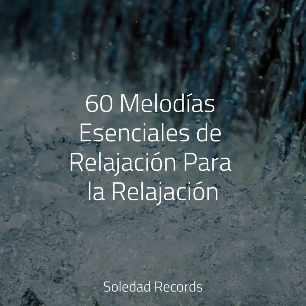 Conciencia Completa