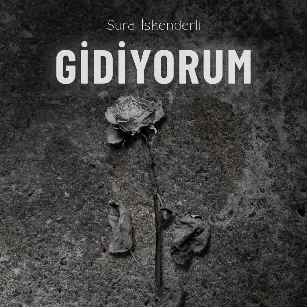 Gidiyorum