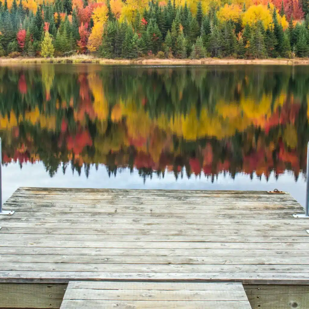 02 - مسلسل سعود وسارة في روضة القرآن - سعود وسارة في روضة القرآن