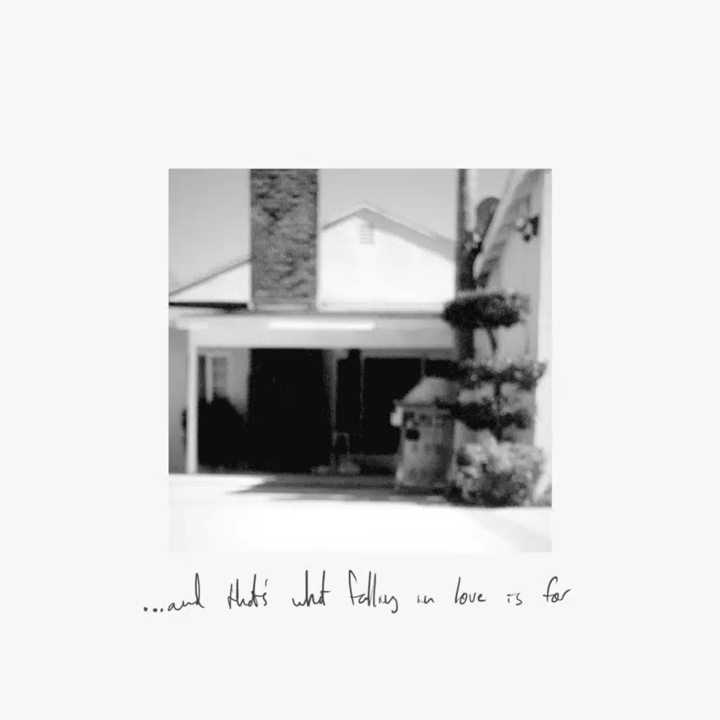 What Falling in Love Is For