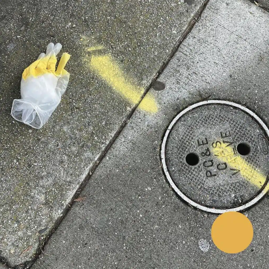 A Mighty Wind Through Chainlink Fence